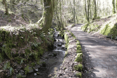 136. Downstream from Hawkcombe Weir