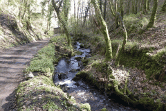 137. Downstream from Hawkcombe Weir