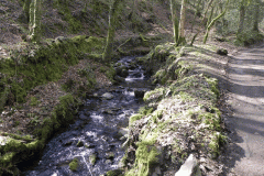 138. Downstream from Hawkcombe Weir