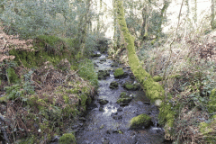 140. Looking upstream from ROW Bridge 3331
