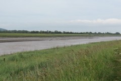 16.-Upstream-from-Combwich-3
