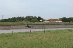 16.-Upstream-from-Combwich-4
