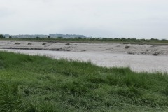 16.-Upstream-from-Combwich-8