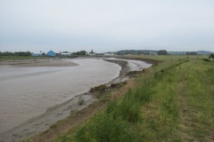 3.-Downstream-from-Dunball-Wharf-2