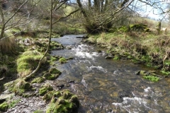 Sherdon Bridge to Mouth 