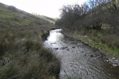 100. Upstream from Ferny Ball
