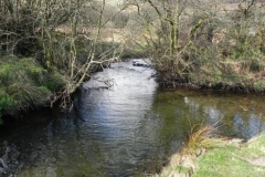 103. Upstream from Confluence with River Barle