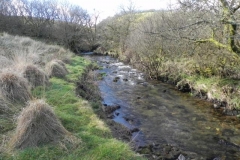 105. Upstream from Confluence with River Barle
