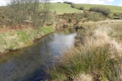 106. Upstream from Confluence with River Barle