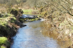 109. Upstream from Confluence with River Barle