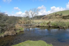 112. Confluence with River Barle