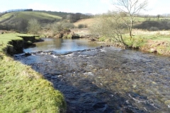 115. Barle downstream from Confluence with Sherdon Water