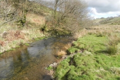 71. Flowing through Woolcombe Allotment