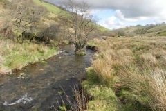 72. Flowing through Woolcombe Allotment