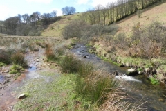 75. Flowing through Woolcombe Allotment