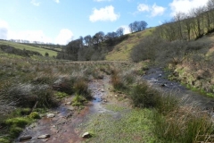 76. Flowing through Woolcombe Allotment