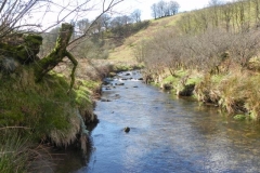 78. Flowing through Woolcombe Allotment