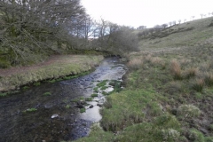 80. Flowing through Woolcombe Allotment