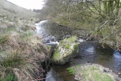 82. Flowing through Woolcombe Allotment