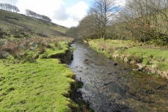 84. Flowing through Woolcombe Allotment