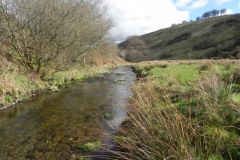 85. Flowing through Woolcombe Allotment