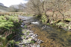 87. Upstream from Lower Sherdon Bridge