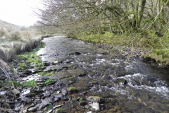 91. Upstream from Lower Sherdon Bridge