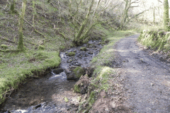 103. Flowing through Homebush Wood