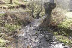 66. Downstream from confluence with Shillett Combe Water