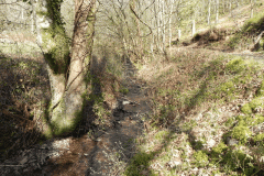 67. Downstream from confluence with Shillett Combe Water