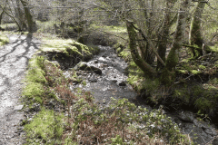 68. Downstream from confluence with Shillett Combe Water