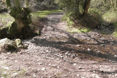 71. Ford below Berry Castle Combe