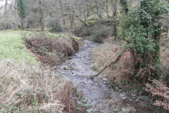 73. Downstream from Berry Castle Combe