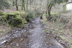 75. Downstream from Berry Castle Combe