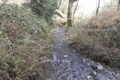 76. Flowing through East Lucott Wood
