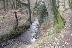 77. Flowing through East Lucott Wood
