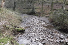 78. Flowing through East Lucott Wood
