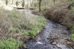 79. Pond and Weir