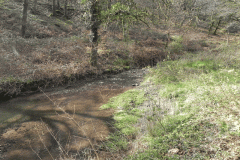 81. Looking upstream from Pond and Weir