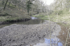 82. Pond and Weir