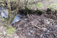 83. Pond and Weir