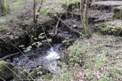 84. Pond and Weir
