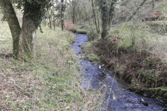 86. Flowing through Homebush Wood