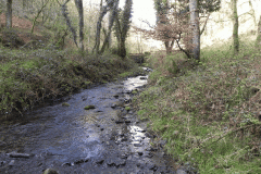 87. Flowing through Homebush Wood
