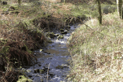 88. Flowing through Homebush Wood