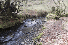 89. Flowing through Homebush Wood
