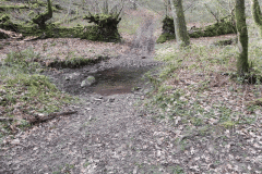 91. Ford in  Homebush Wood