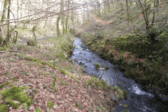 94. Flowing through Homebush Wood