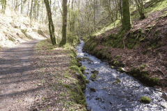 98. Flowing through Homebush Wood