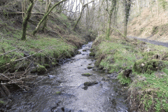 99. Flowing through Homebush Wood